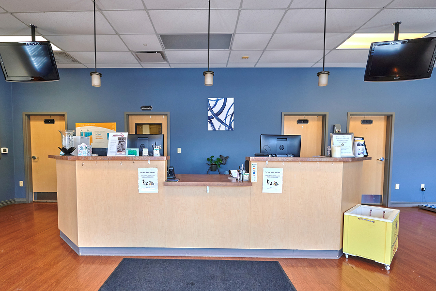 This image depict the inside of an office with blue walls.