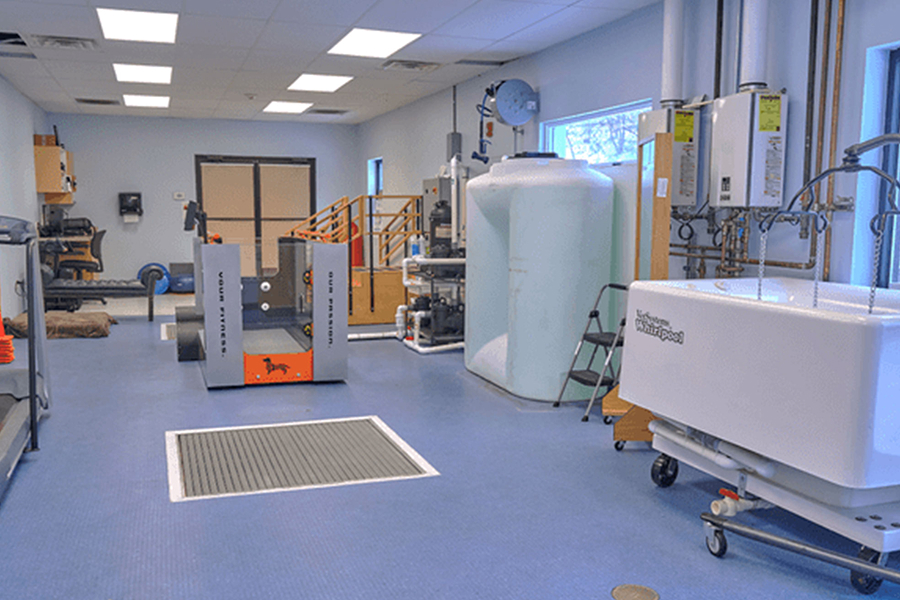 This image depicts a treatment center for pets with different types of equipment.