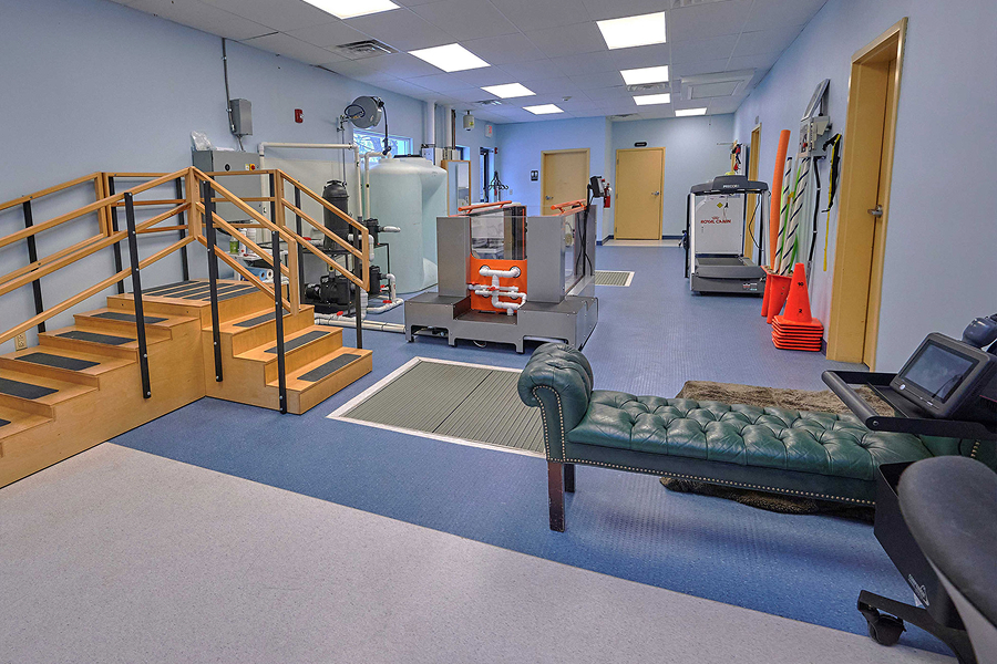 This image depicts the inside of a treatment center with different types of vet equipment.