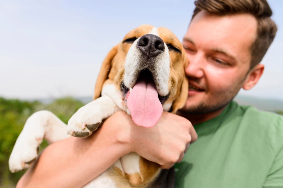 This image depicts a brown and white dog with its tongue out of its mouth being hugged by a man in a green shirt.