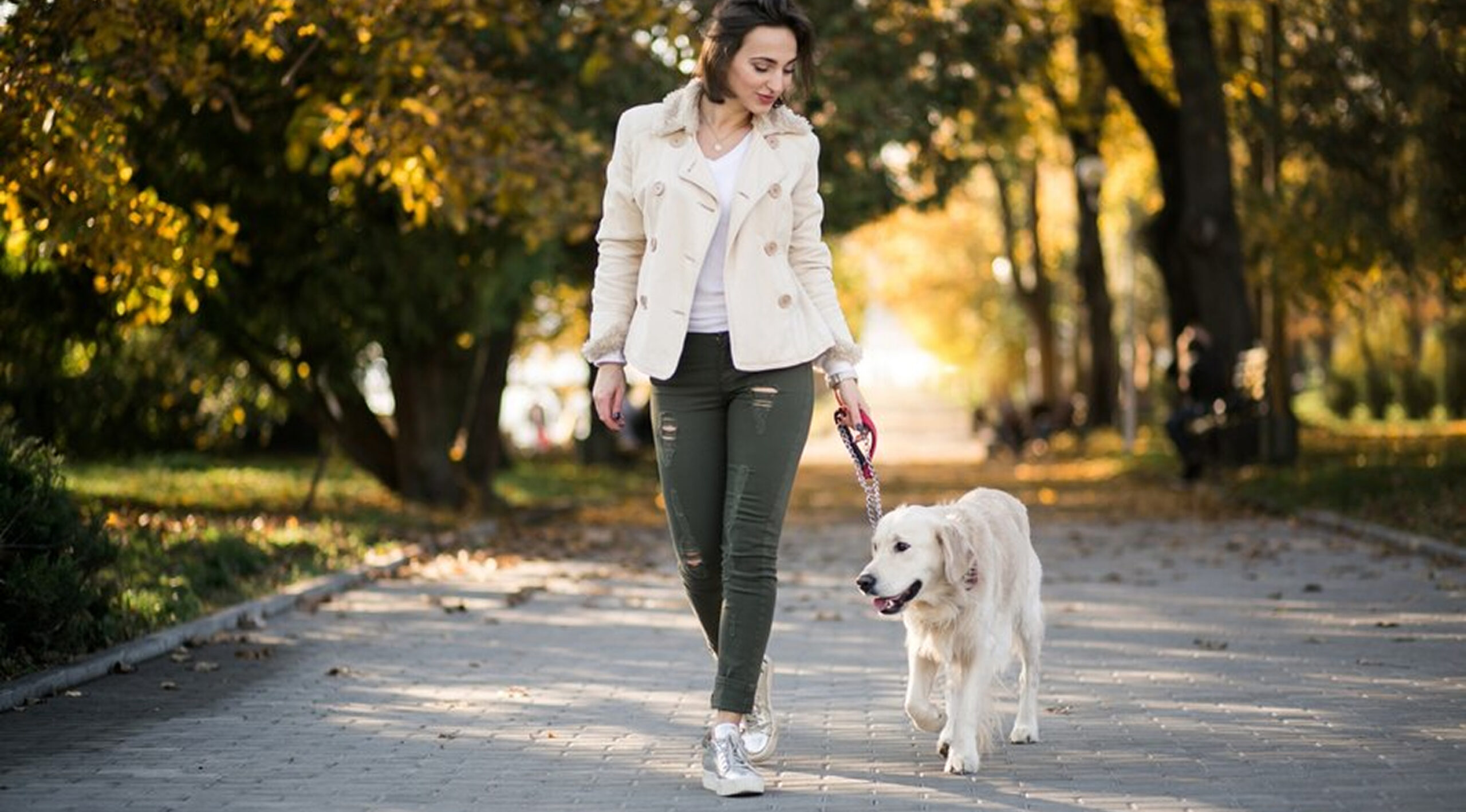 This image depicts a woman with brown hair walking a white dog on a path outside.