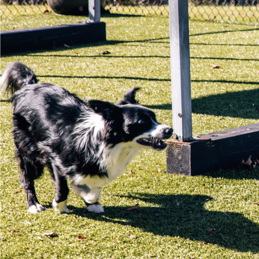 View Lodging & activity
upgrades