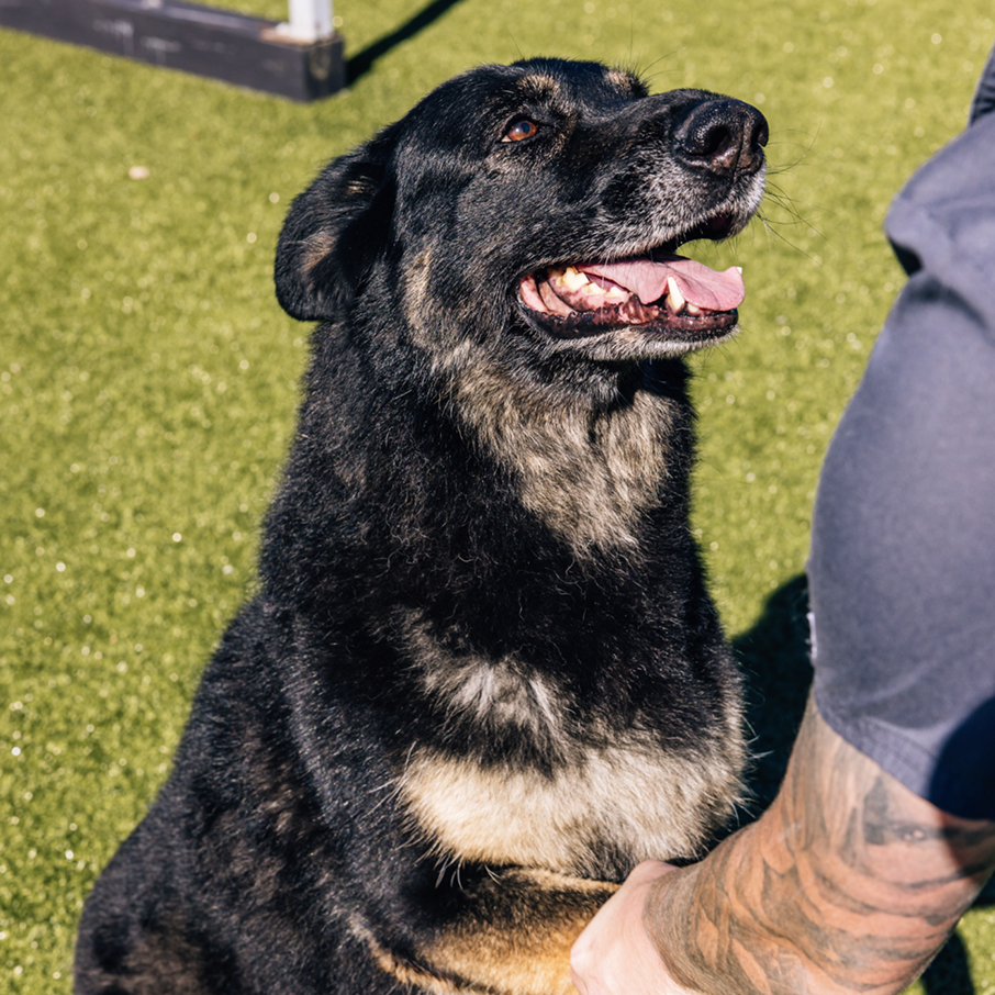 View vaccination &
day care policies