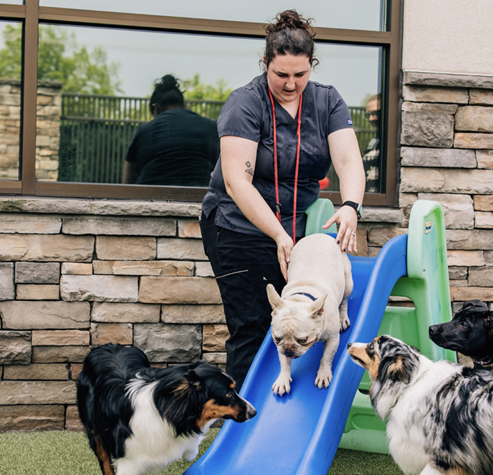 This image depicts a vet and a white dog sliding down a blue slide outside.