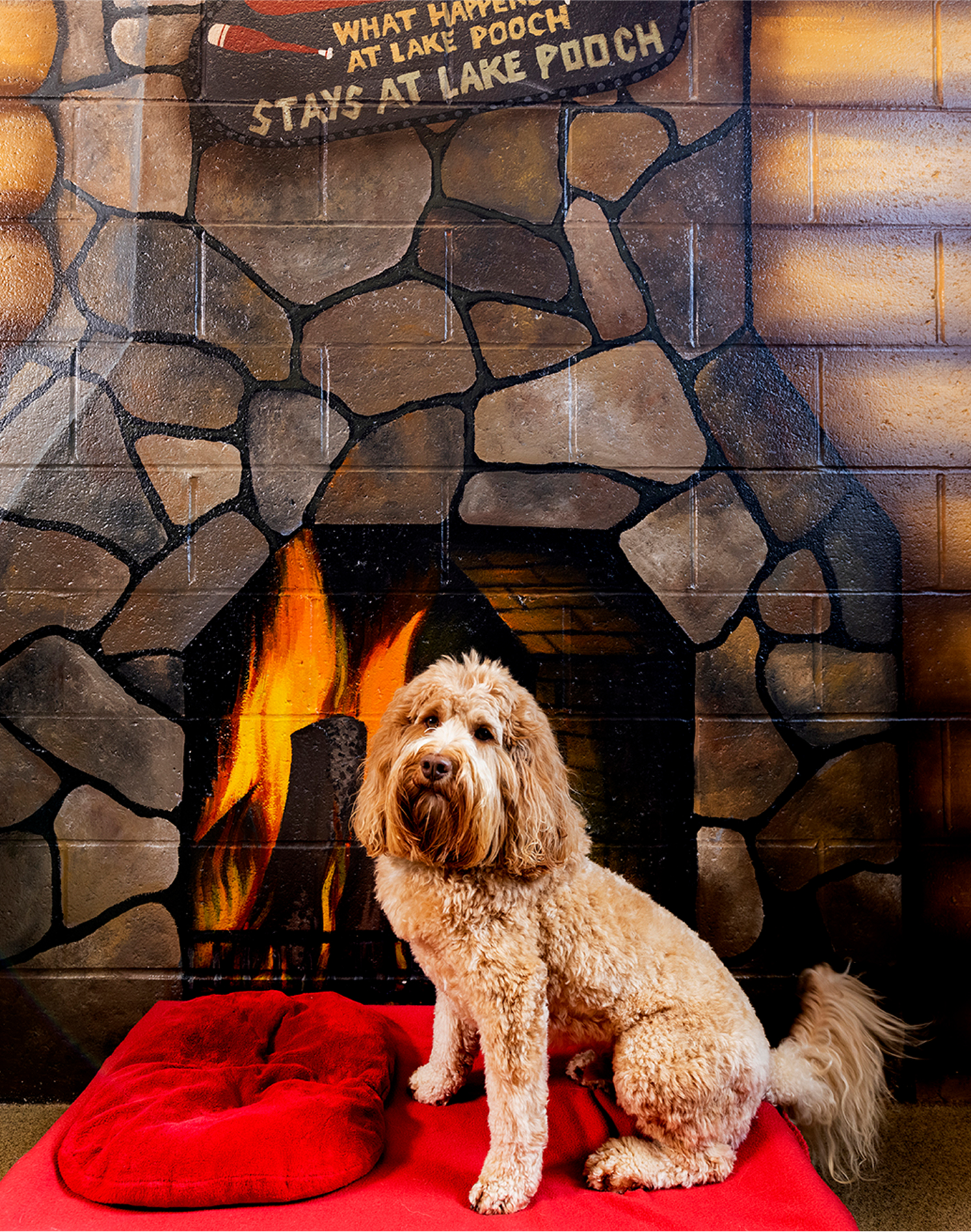 This image depicts a brown dog sitting in front of a painted fire on a red blanket.