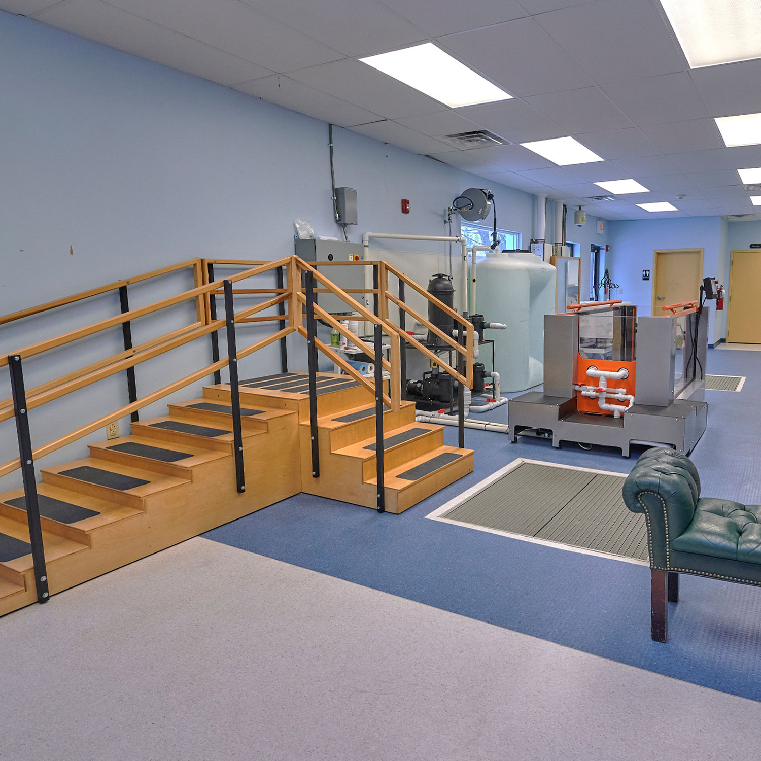 This image depicts an animal treatment room with various devices.