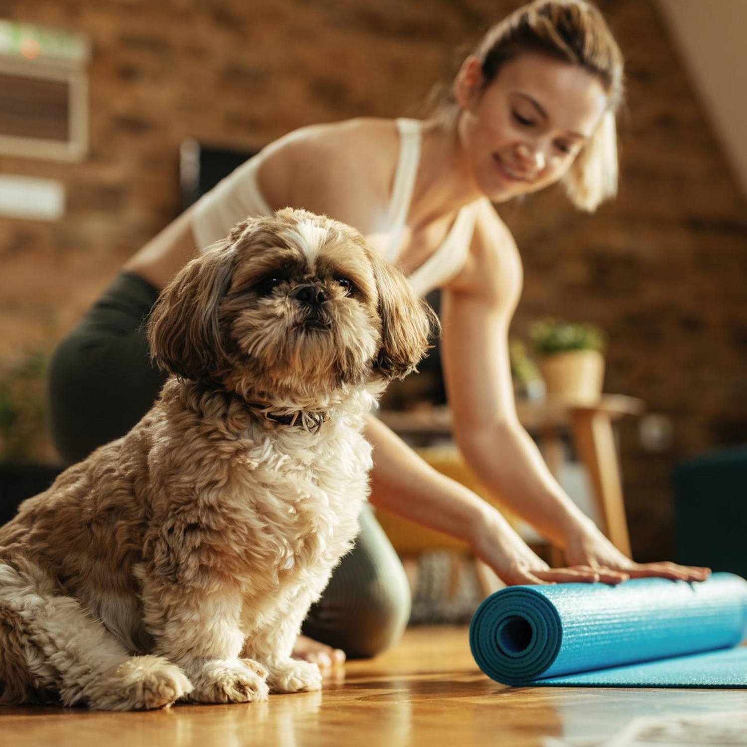 View The Importance of Preventive Care in Pets: How to Keep Your Pet Healthy and Happy
